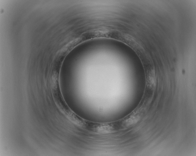 X0000073710468200608031244