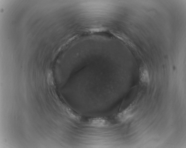 X0000073710471200608031244