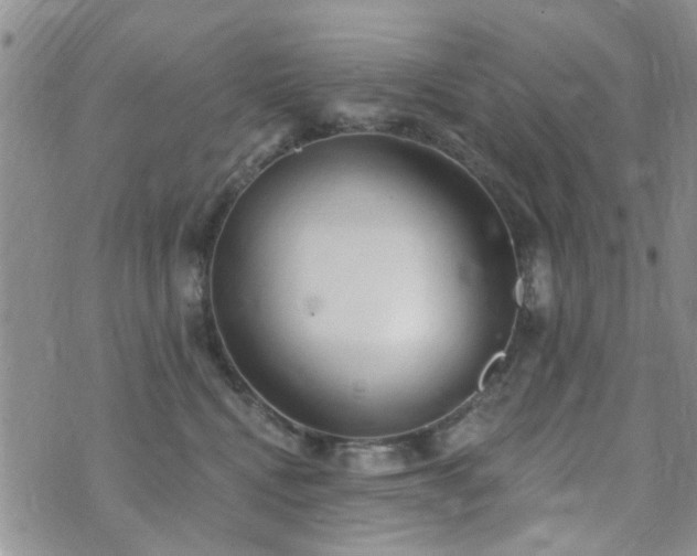 X0000073710472200608031244