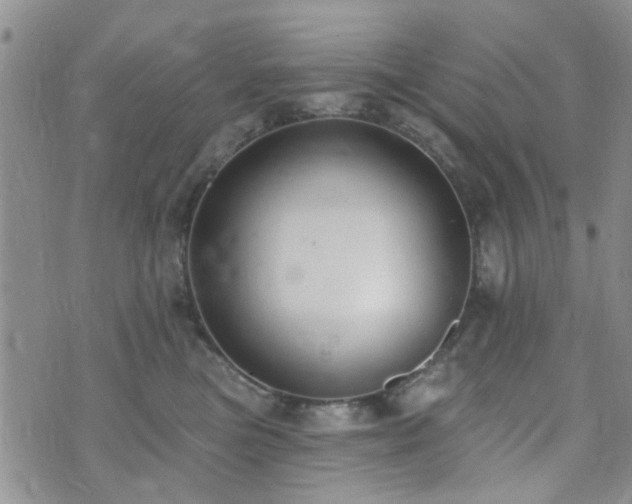 X0000073710473200608031244