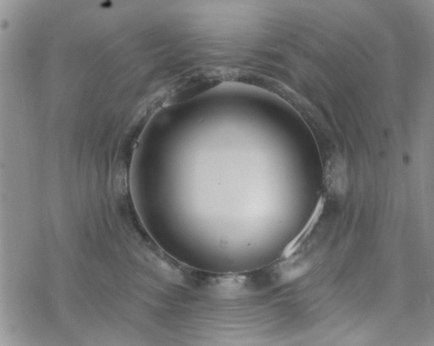 X0000073710474200608031244