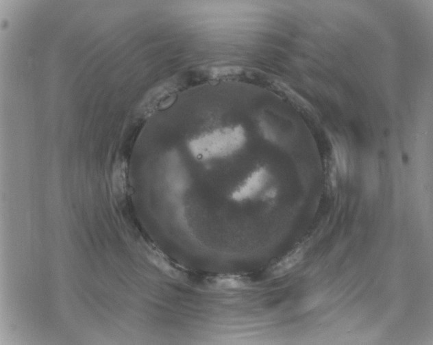 X0000073710475200608031244