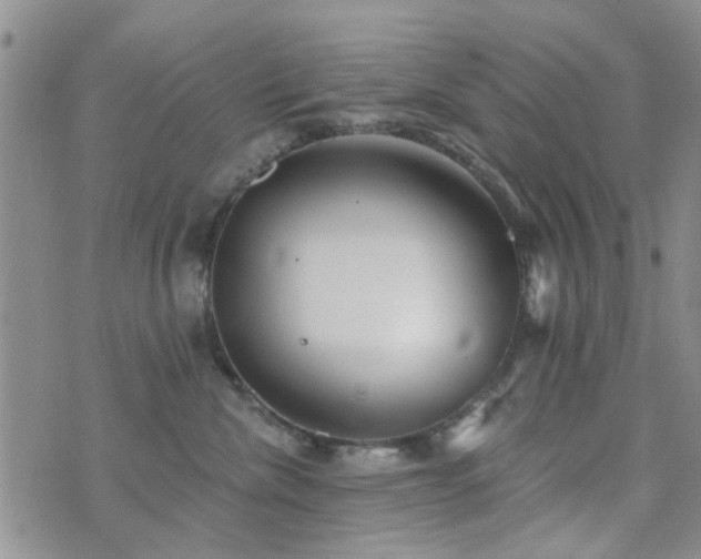 X0000073710476200608031244