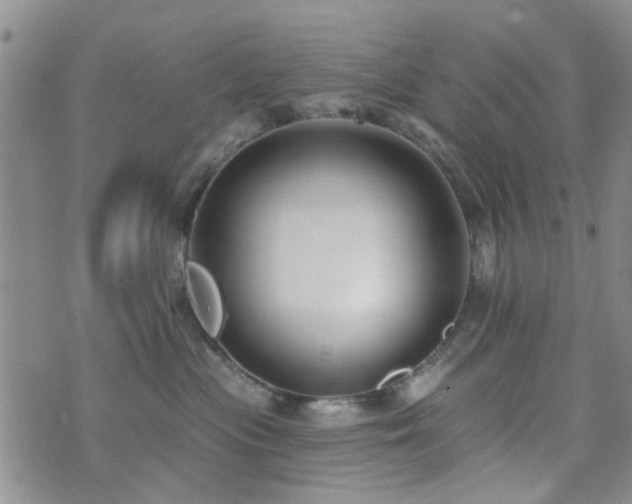 X0000073710477200608031244