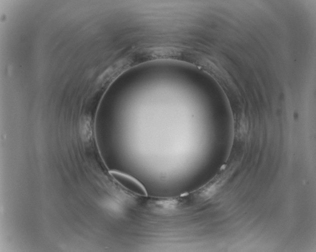 X0000073710478200608031244