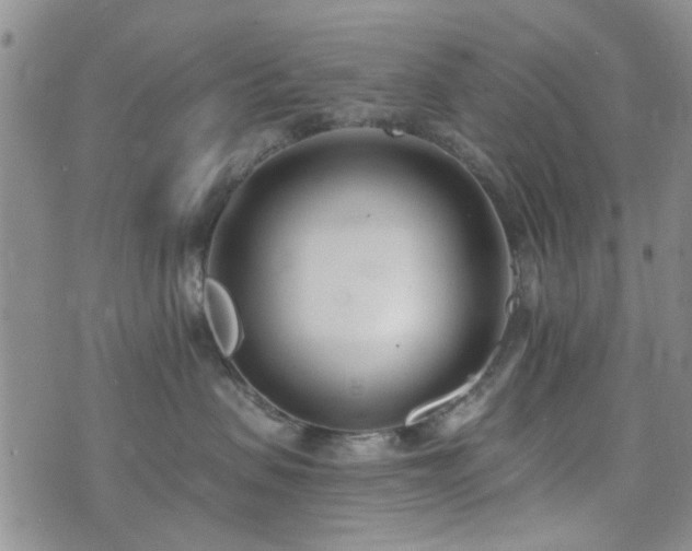 X0000073710479200608031244