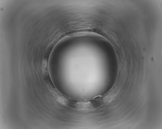 X0000073710480200608031244