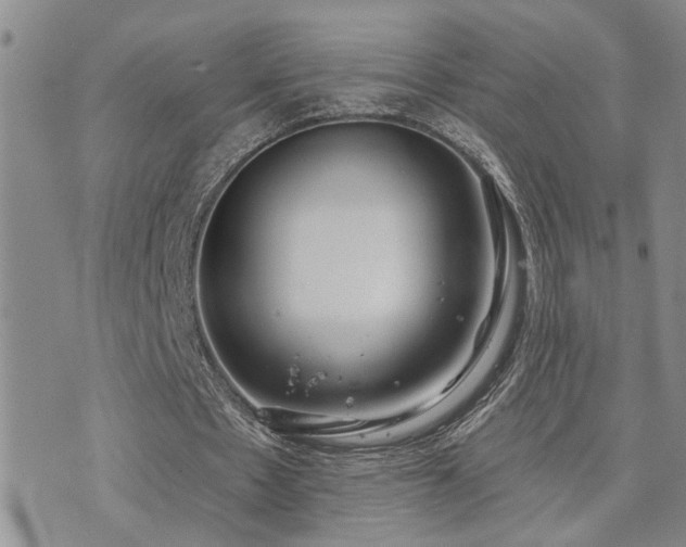 X0000073710481200608031243