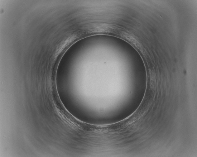 X0000073710482200608031243