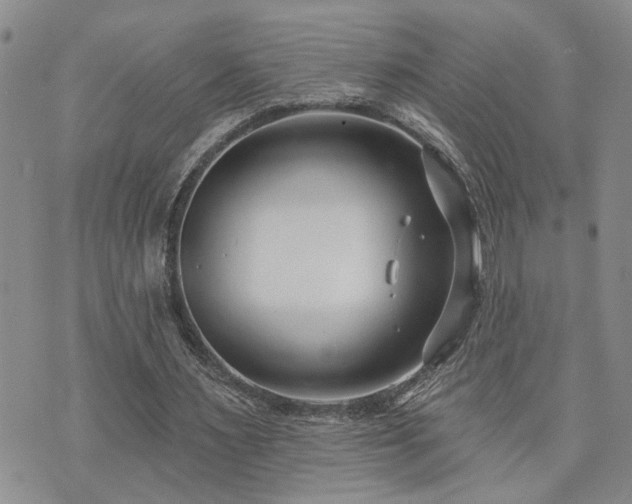 X0000073710483200608031243