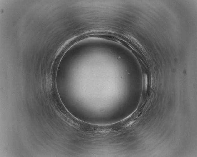 X0000073710484200608031243