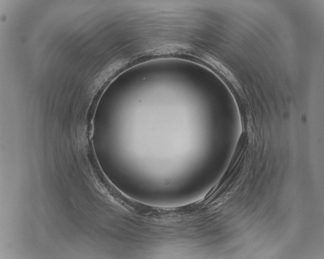 X0000073710485200608031243