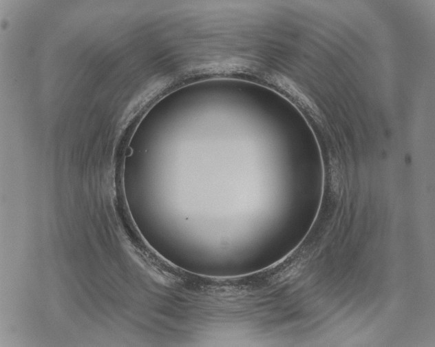 X0000073710486200608031243