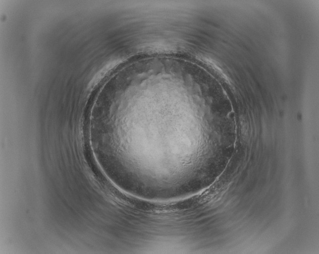 X0000073710487200608031243