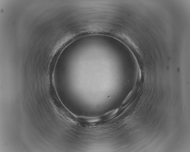 X0000073710488200608031243