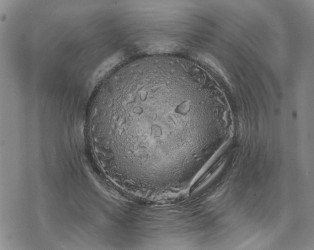 X0000073710491200608031243