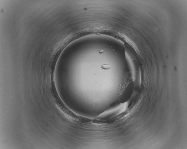 X0000073710493200608031243