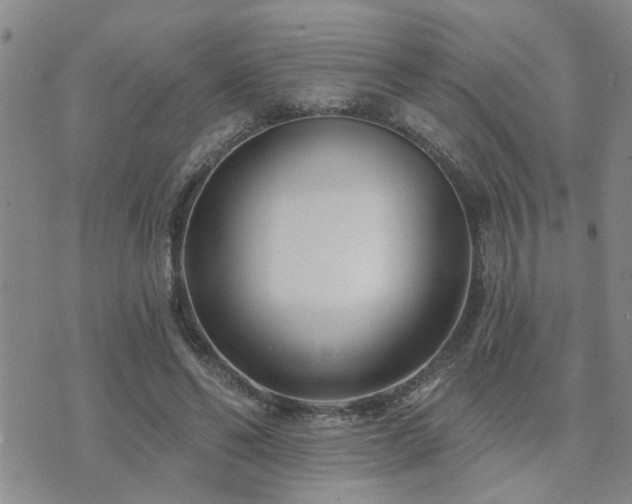 X0000073710494200608031243