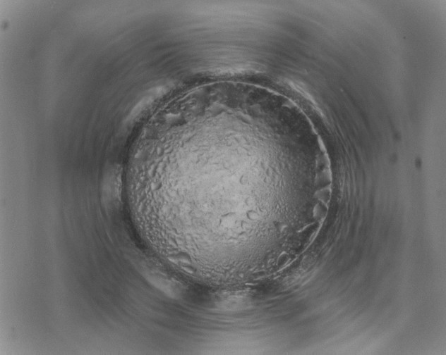 X0000073710495200608031243