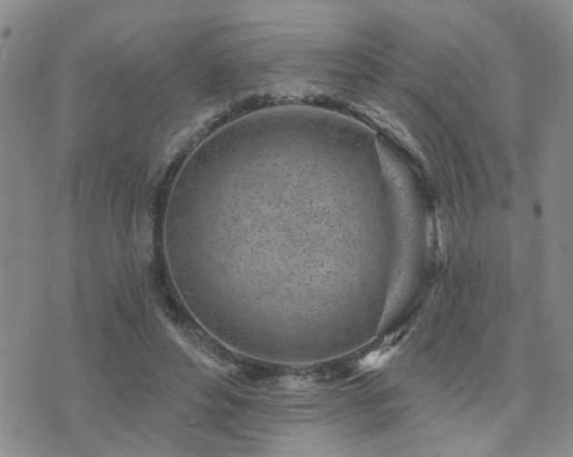 X0000073710496200608031243