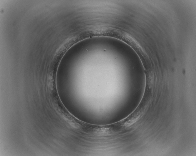 X0000073710497200608031243