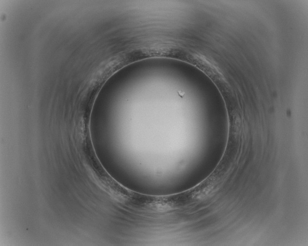 X0000073710498200608031243