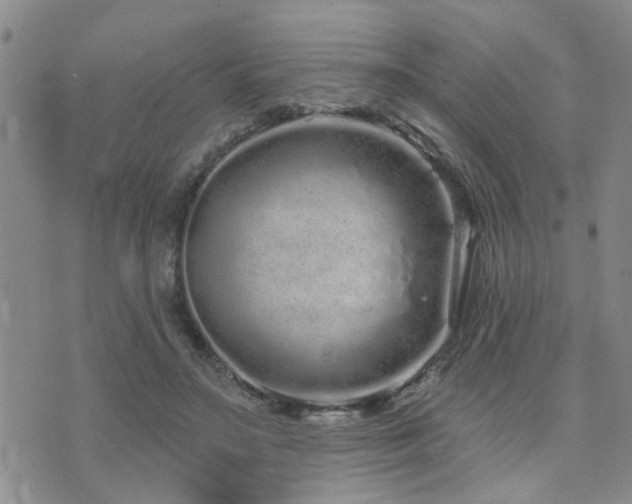 X0000073710499200608031243