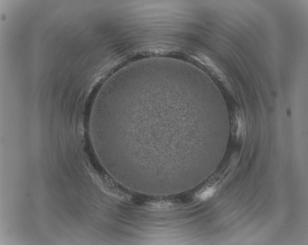 X0000073710500200608031243