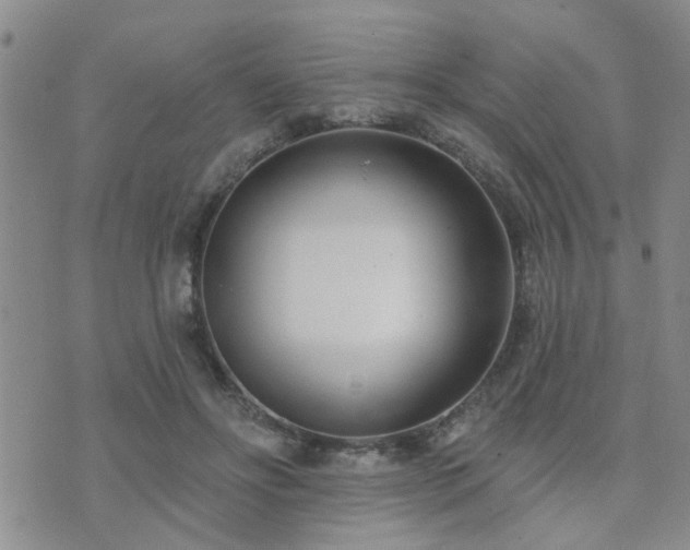 X0000073710502200608031243