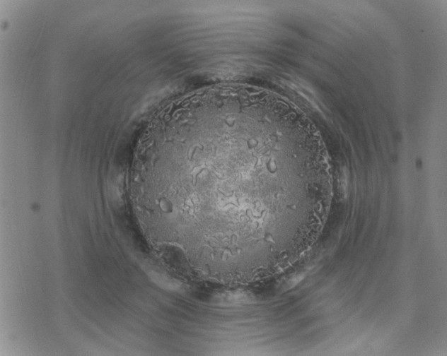 X0000073710503200608031243