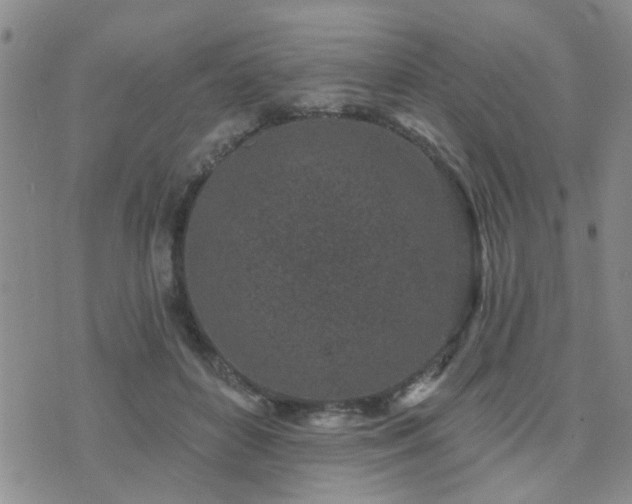 X0000073710504200608031243