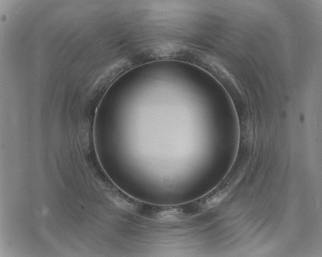 X0000073710505200608031243