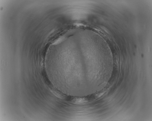 X0000073710507200608031243