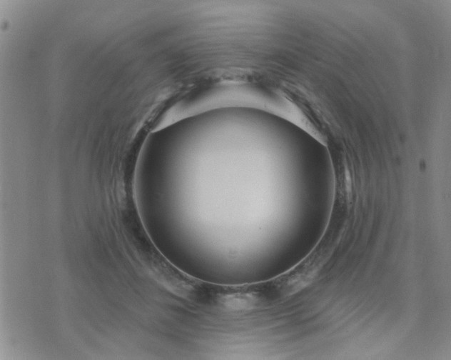 X0000073710508200608031243