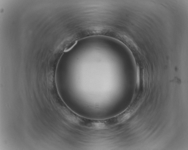 X0000073710509200608031243