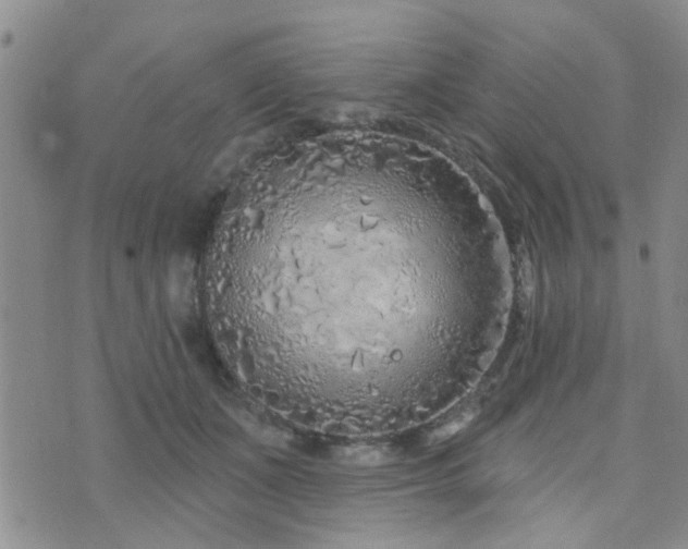 X0000073710511200608031243