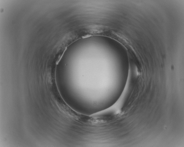 X0000073710512200608031243