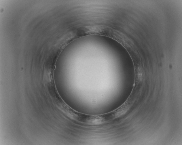 X0000073710514200608031243