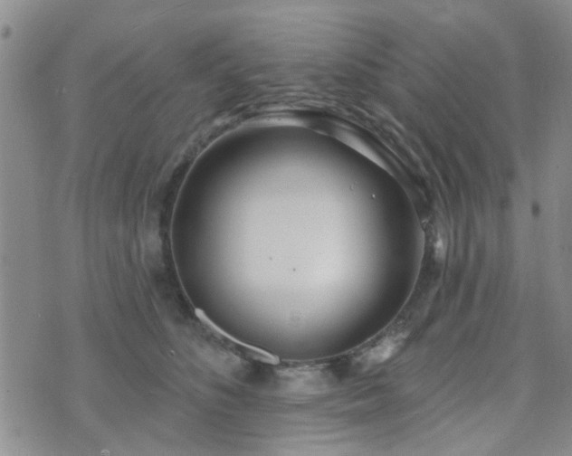 X0000073710516200608031243