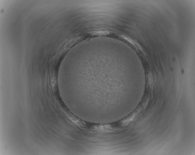 X0000073710517200608031243