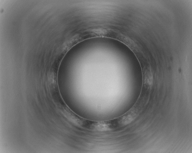 X0000073710518200608031243