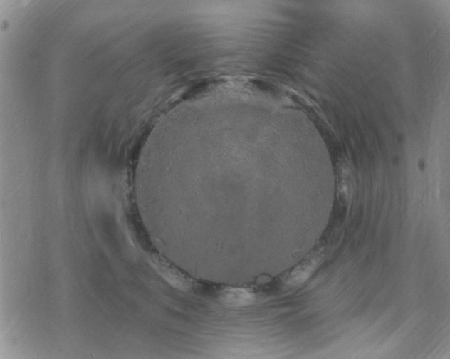 X0000073710519200608031243