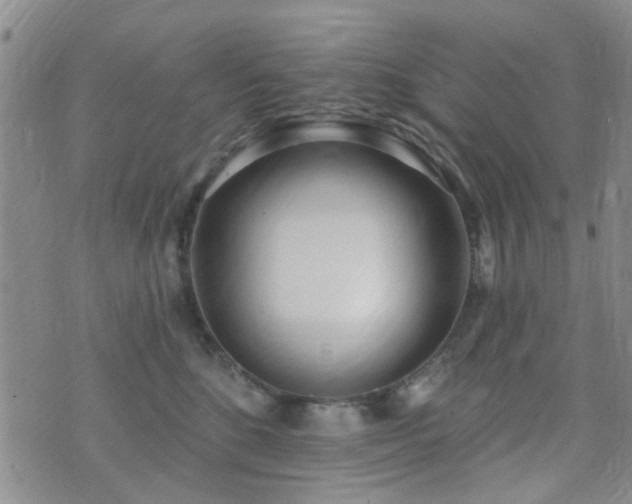 X0000073710520200608031243