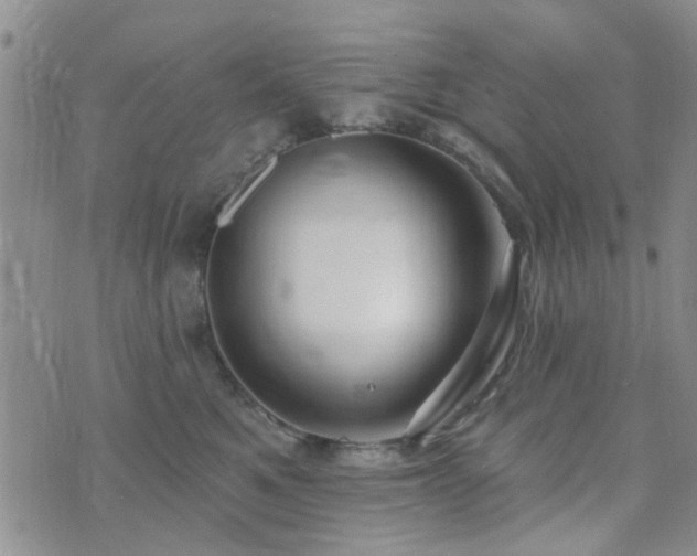 X0000073710521200608031243