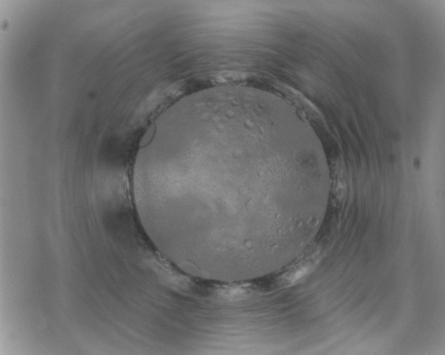 X0000073710523200608031243