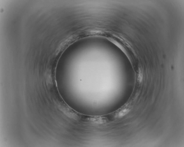 X0000073710524200608031243