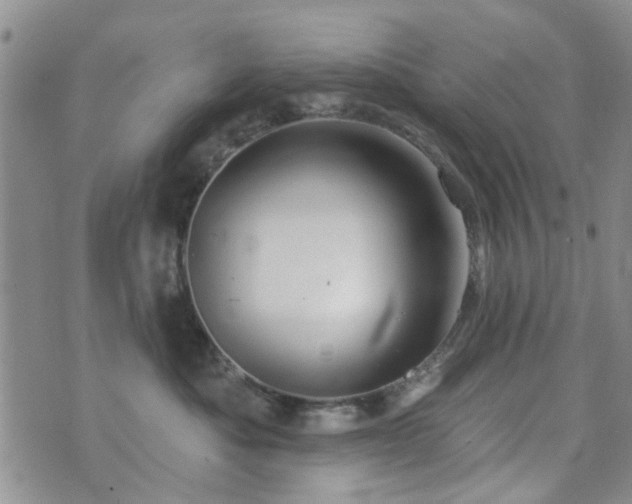 X0000073710525200608031243