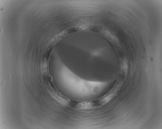 X0000073710526200608031243