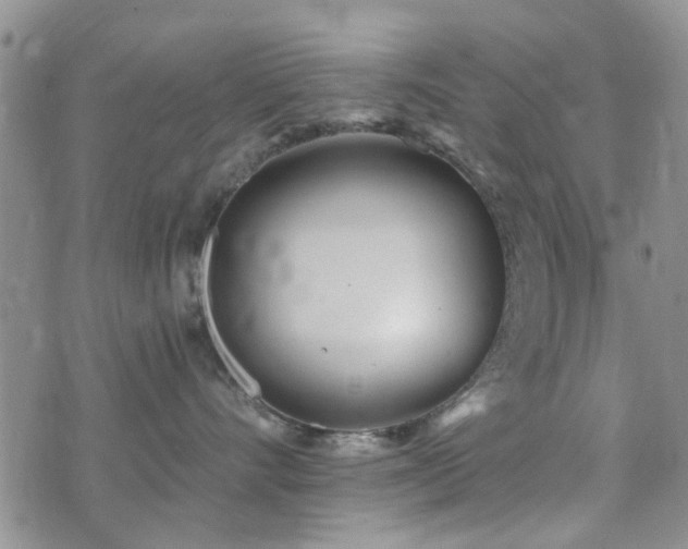 X0000073710528200608031242