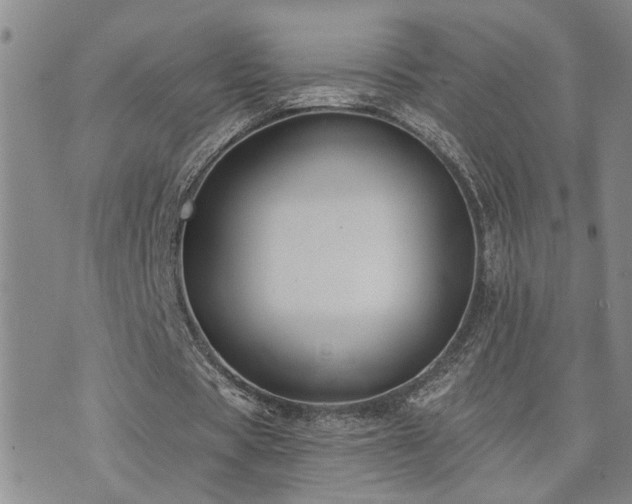 X0000073710529200608031242